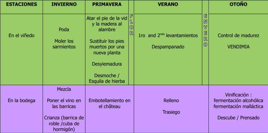 Ciclo del vino en el Château Beaurang