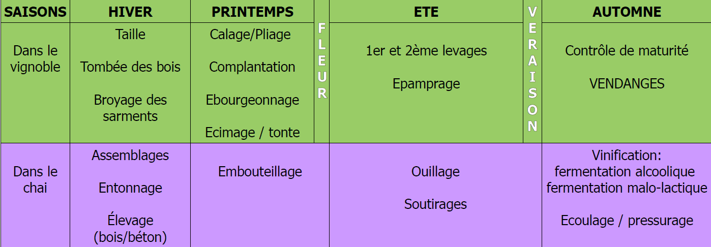 cycle du vin