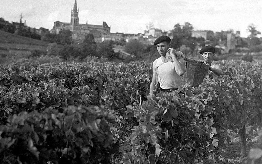 La famille Puyol achète une ferme à Saint-Emilion