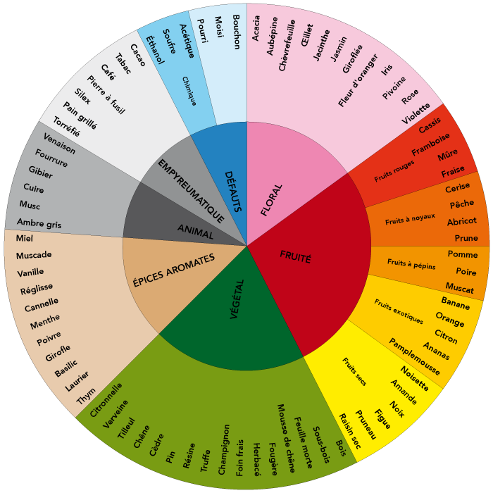 Retrouvez la roue des arômes vue par Richard Pfister