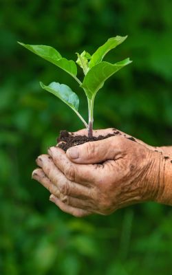 Our environmental values - Château Beaurang