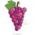 Red grape variety